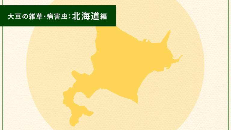 大豆の雑草・病害虫：北海道編