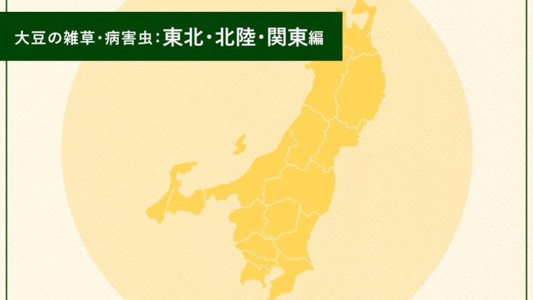 大豆の雑草・病害虫：東北・北陸・関東編