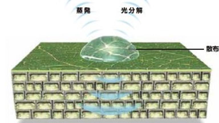 薬害メカニズム