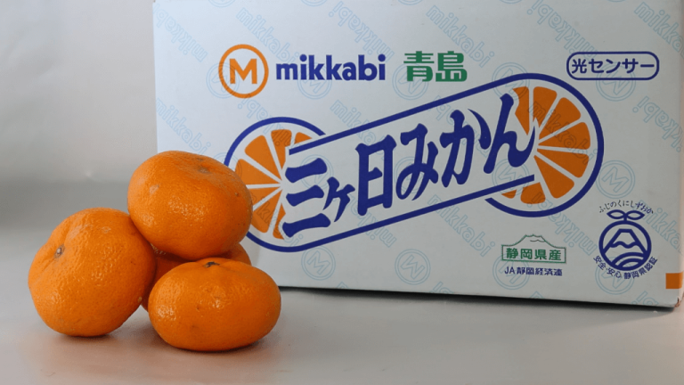 甘さとコクが自慢の特産品「三ヶ日みかん」。ブランドを守る設備と防除に抜かりなし。