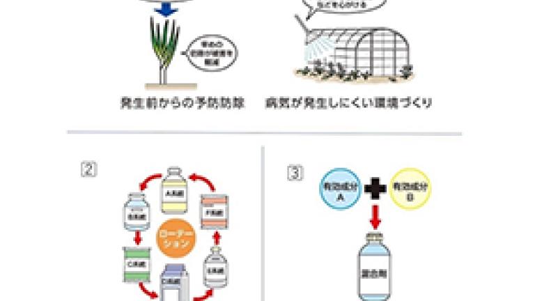 耐性菌発達を回避するポイント