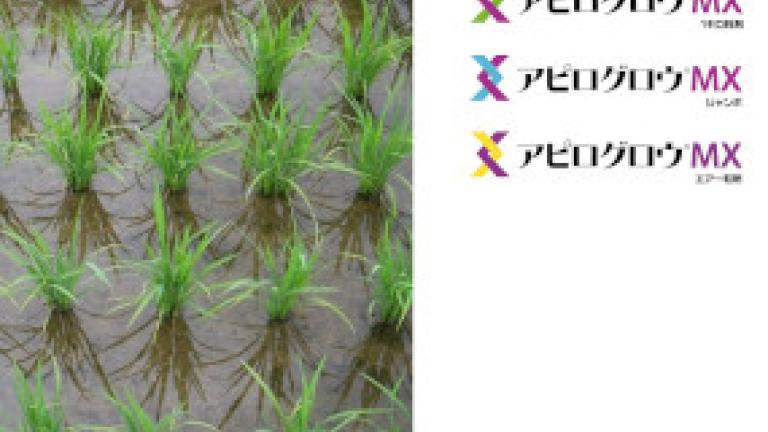 水管理の難しい水田のノビエにも、アピログロウMXが安定した効果を示す理由とは？