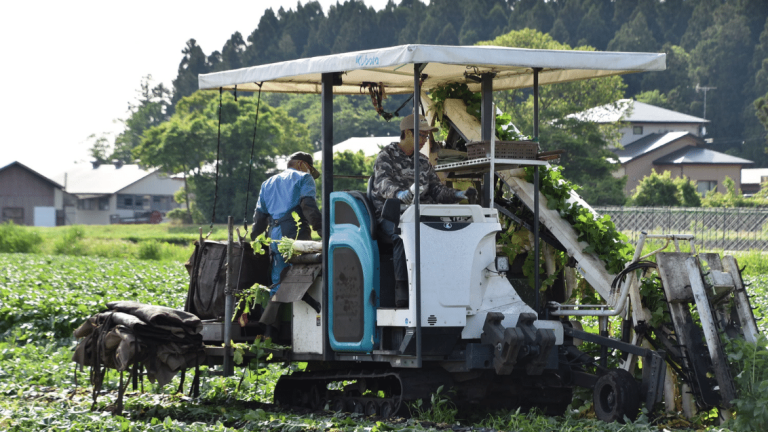 接触効果とガス効果で土壌中の隠れた害虫にも速攻的に効果を発揮します。「フォース粒剤」