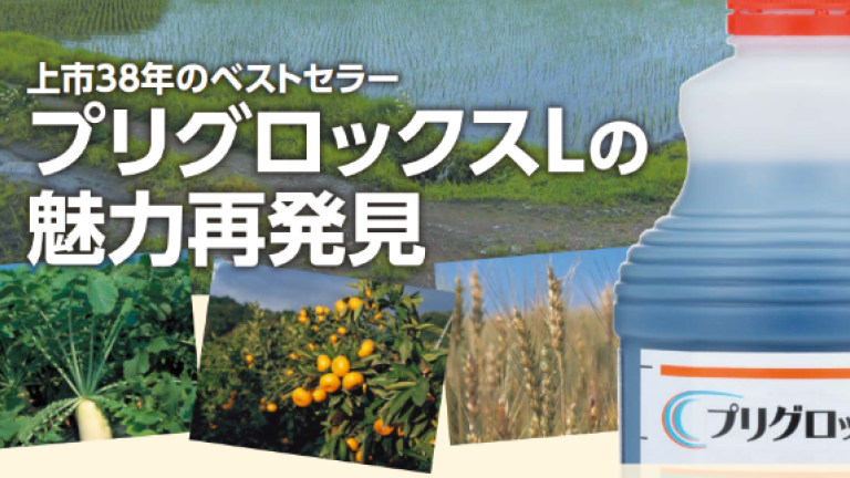薬液がかかった所だけ枯らす「接触型」の非選択性除草剤です。朝まけば、その日にわかる即日除草！プリグロックスL