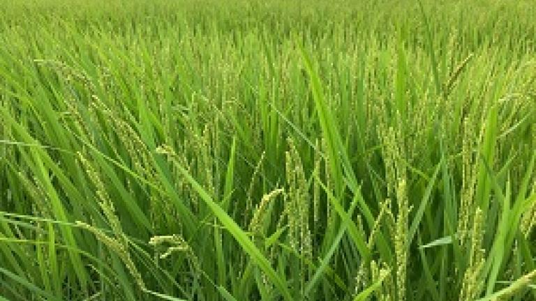 三重県多気郡明和町の（株）ヤマヨ組
