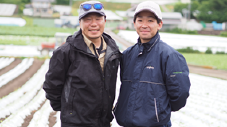 285_214_michikusa_nagano_lettuce_thumnail_2025.png