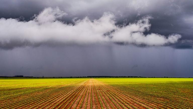 screen_ppt_storm_approaching_soybean_plantation3.jpg