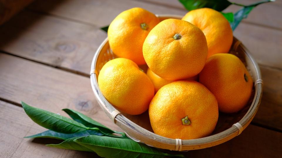 加害部が腐敗して収量減をもたらす、ねぎの「ネダニ」をしっかりと防除するために | シンジェンタジャパン｜Syngenta Japan