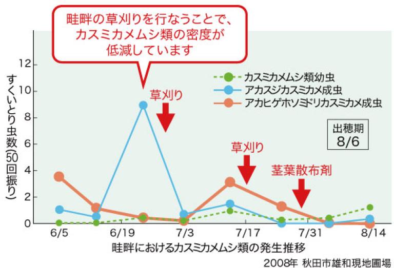 蛙畔におけるカスミカメムシ類の発生推移