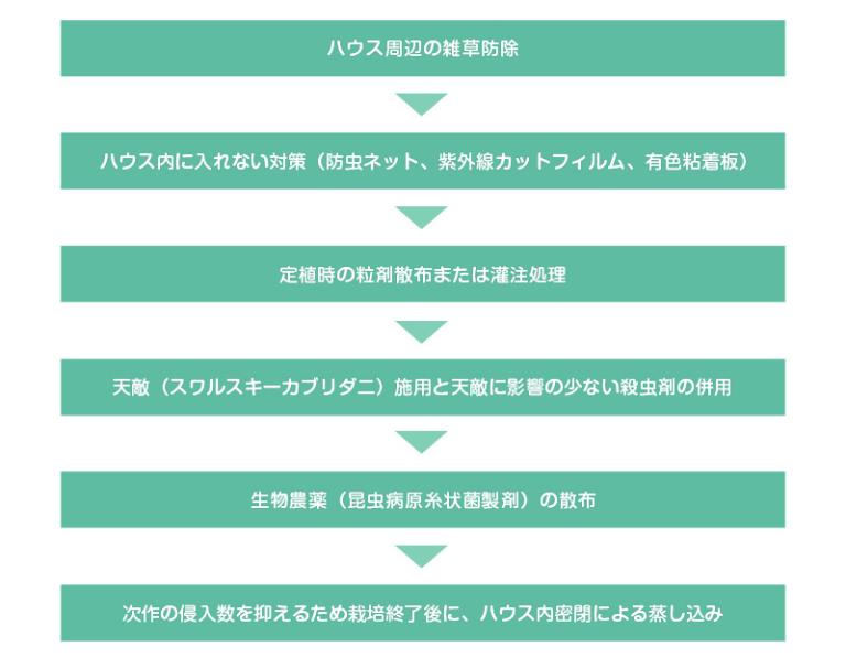 宮崎県における抵抗性ミナミキイロアザミウマの防除体系