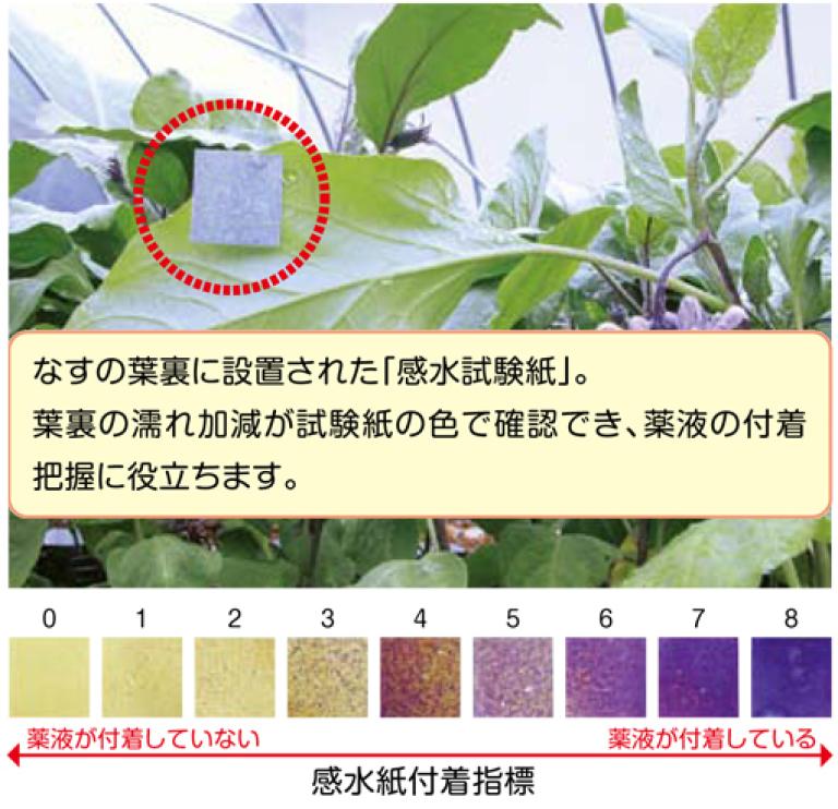 感水紙付着指標第三者からの指摘前後の薬液付着程度の変化