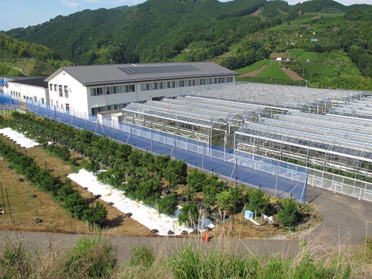 静岡県農林技術研究所 果樹研究センター