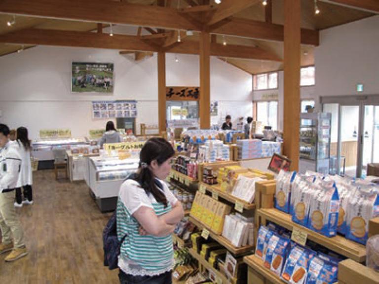高原野菜のほかにも、乳製品や牛乳の加工品が豊富な店内