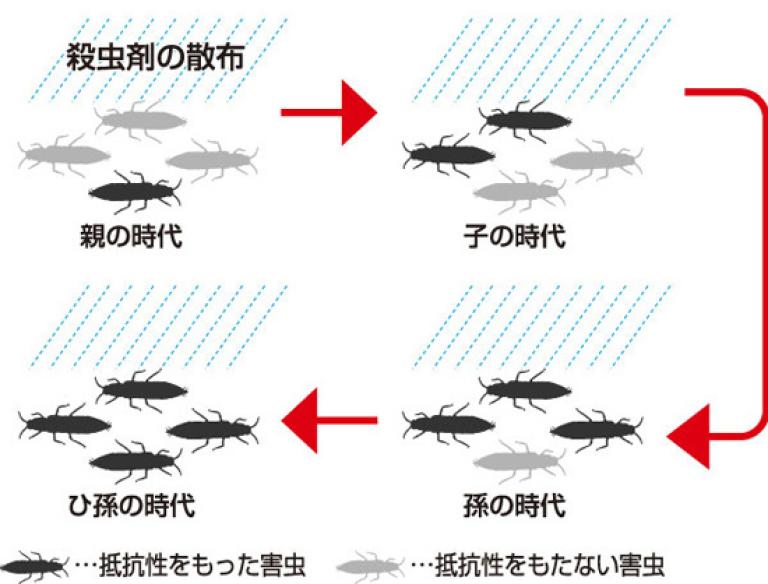 殺虫剤抵抗性が発達するメカニズム