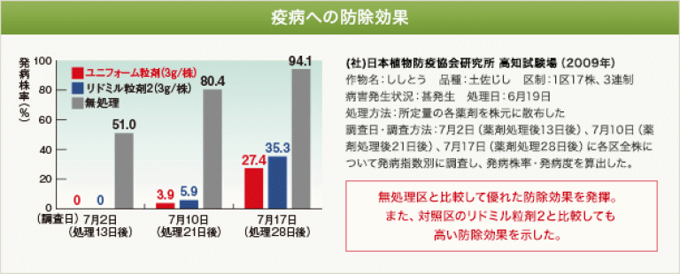 ユニフォーム粒剤の疫病への防除効果