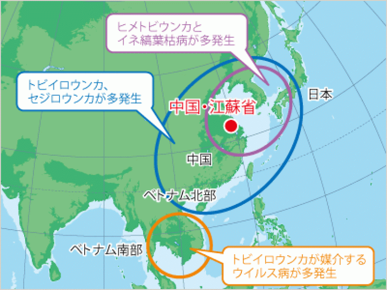 ウンカの種別多発生地域