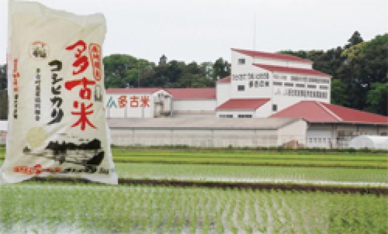 JA多古町のライスセンター。