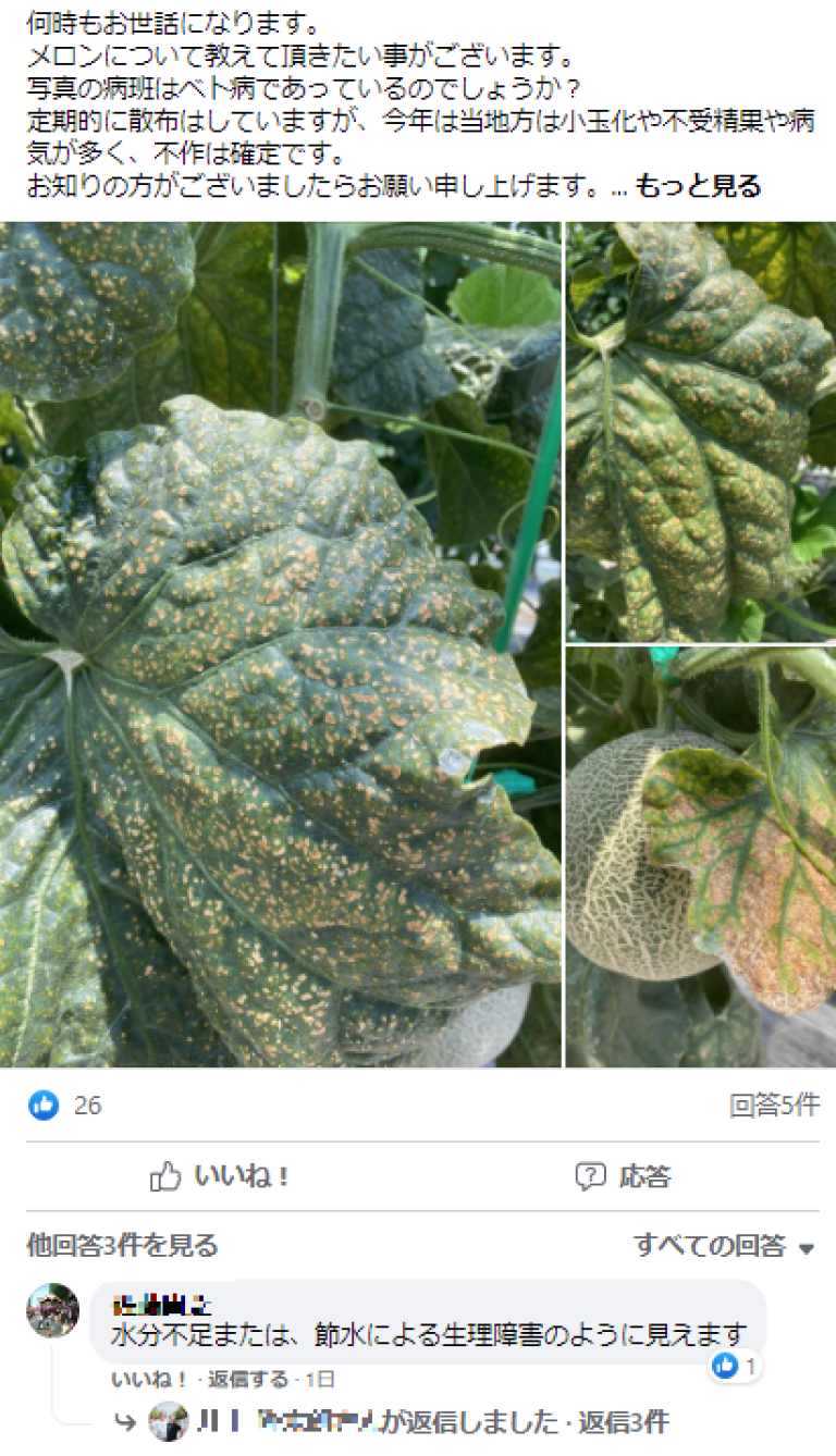 Facebookでの投稿