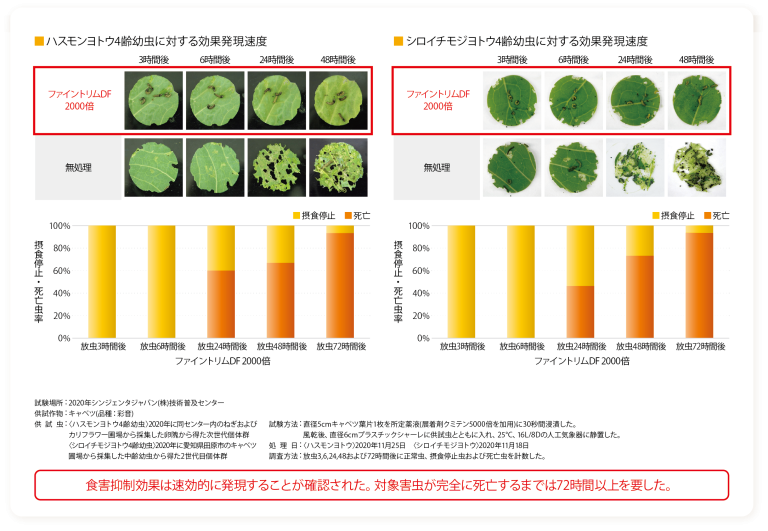 ハスモンヨトウ、シロイチモジヨトウの4齢幼虫に対する効果発現速度