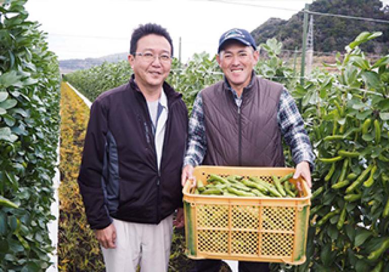 JAいぶすき 農産部営農課の別府昭吾次長（左）、えんどう部会の西山昭二部会長（右）