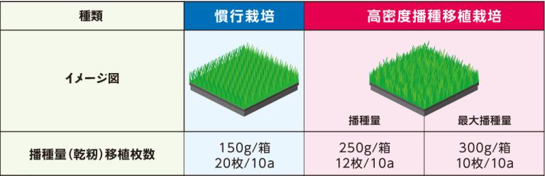 慣行栽培（一般的な播種量〈乾籾〉・移植枚数）と高密度播種苗栽培の播種量比較