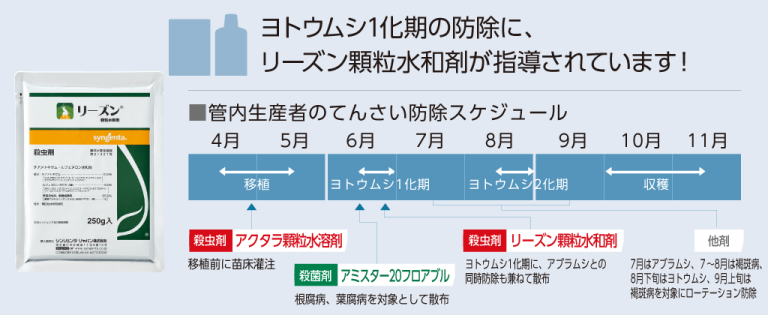 リーズン顆粒水和剤を使った「てんさい」のヨウトウムシ・アブラムシ防除スケジュール