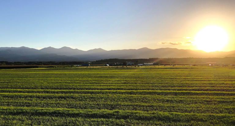 収穫を終えた松澤さんの小麦圃場。西に望む日高山脈が美しい