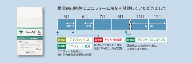 ユニフォーム粒剤を使った「ながいも」の根腐病に対する防除スケジュール