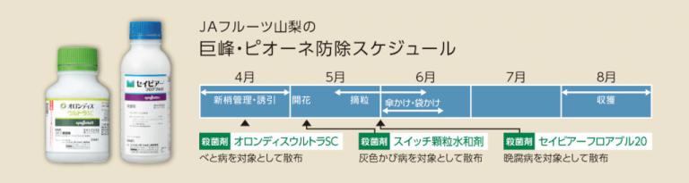 オロンディスウルトラSC・セイビアーフロアブル20を使った巨峰・ピオーネの防除スケジュール