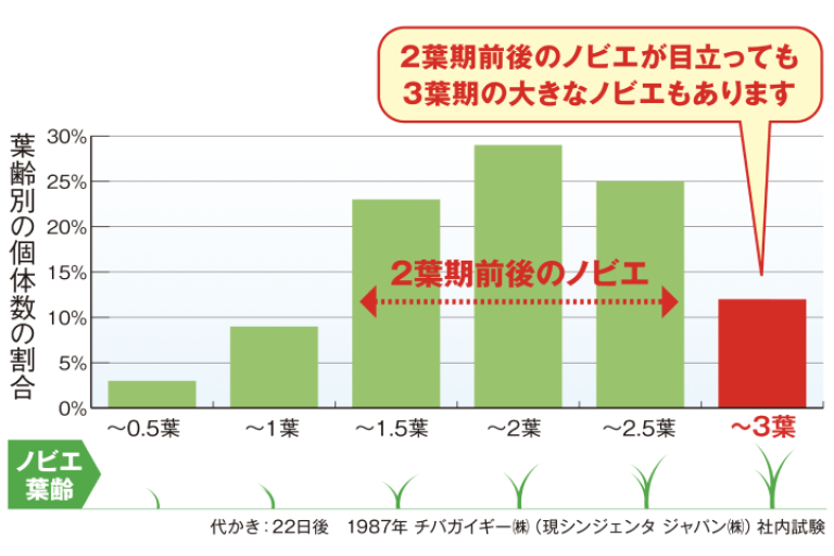 ノビエの葉齢分布