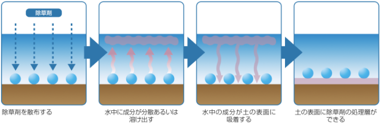 除草剤を処理した水を流さないことが大切