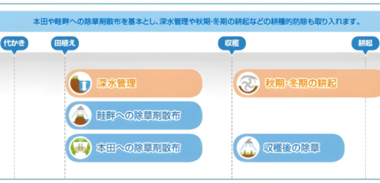 耕種的防除の慣行栽培における組み合わせ例