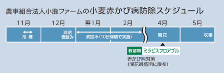 小鹿ファーム様赤かび病防除スケジュール