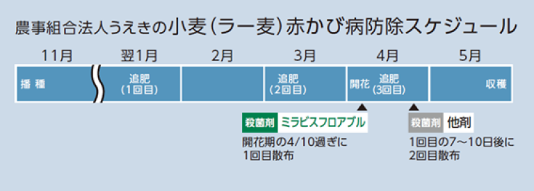 農事組合法人うえきの小麦（ラー麦）赤かび病防除スケジュール