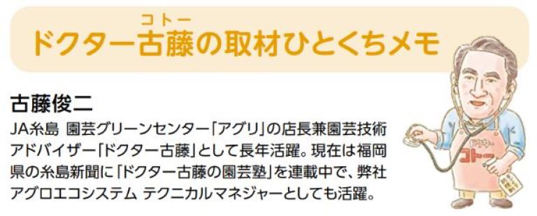 ドクター古藤