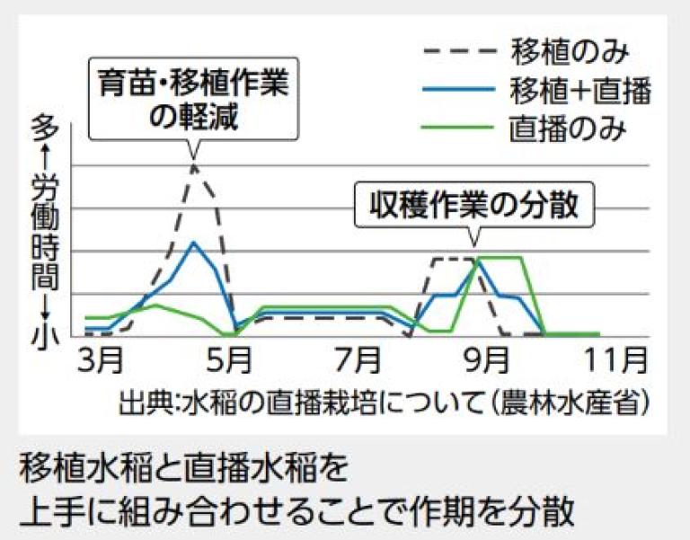 移植水稲と直播水稲を上手に組み合わせることで作期を分散