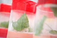 シンジェンタと植物バイオテクノロジー