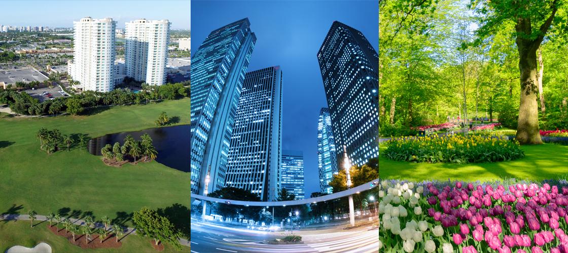 プロフェッショナル　ソリューション事業