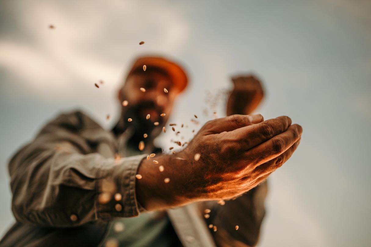 man_hand_seeds_in_foregroundistock