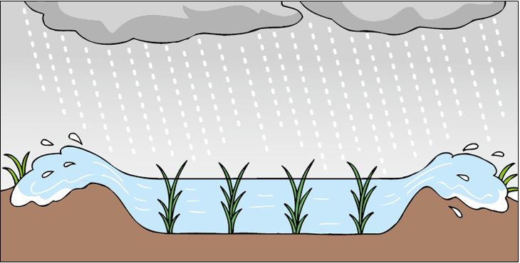 豪雨などによるオーバーフロー