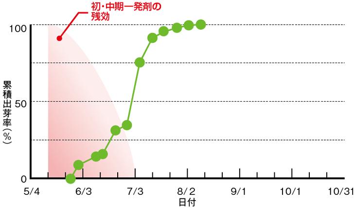 オモダカの発生消長