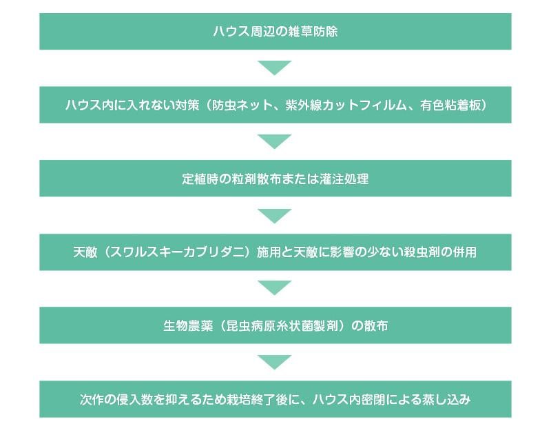 宮崎県における抵抗性ミナミキイロアザミウマの防除体系