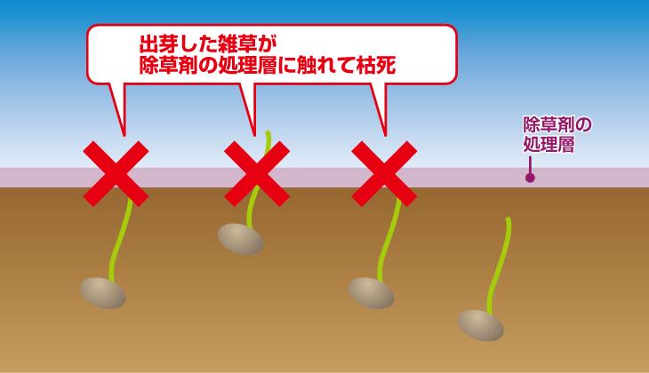 上手な水管理と難防除雑草の防除に向けて | シンジェンタジャパン