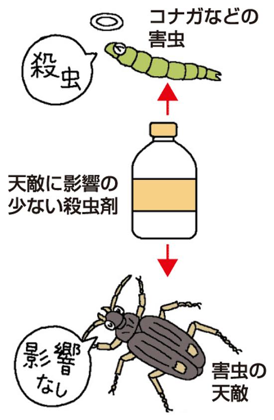 天敵に影響の少ない殺虫剤の使用