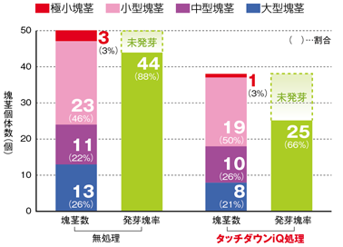 タッチダウンiQの水稲収穫後50倍駅処理がクログワイの塊茎形成に及ぼす影響（2006年社内試験