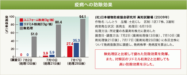 ユニフォーム粒剤の疫病への防除効果