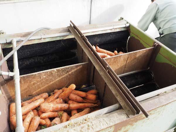 森田さんの作業場にある、にんじん洗浄機
