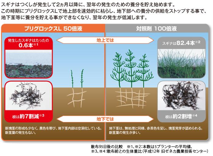 プリグロックスLのスギナに対する効果