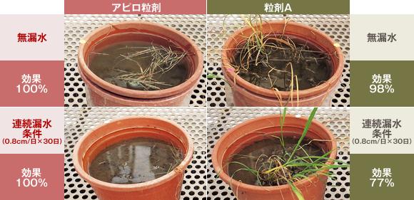 アピロ粒剤と粒剤Aの効果比較図