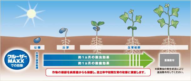 クルーザーＭＡＸＸでの防除